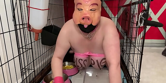 fuckpig porn justafilthycunt humiliating degradation pig pissing caged piss drinking and eating from bowls
