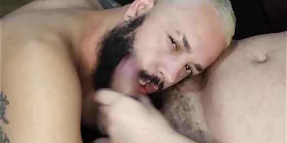 sucking the bear with the thick cock