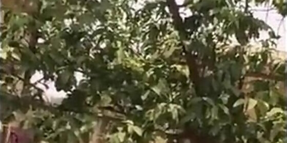 desi bhabhi outdoor shower secretly filmed by neighbour indianhiddencams com