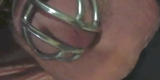 my new small chastity belt which principle of wearing it is better with open or closed foreskin