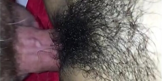 hairy bawdy cleft ravage